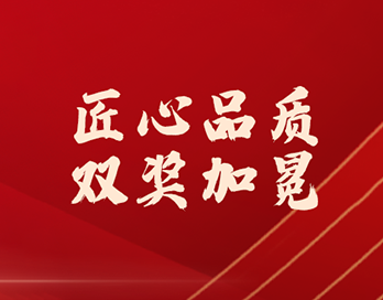 双奖加冕！乐玩官方（中国）总部漆以匠心实力铸就行业标杆